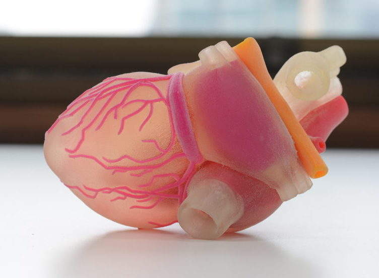 3D Printed Organs
