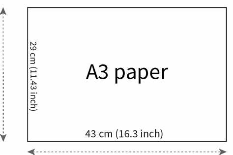 A2, A3 & A4 Paper Size